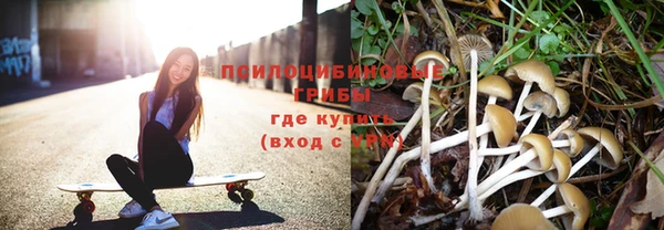 бошки Алзамай