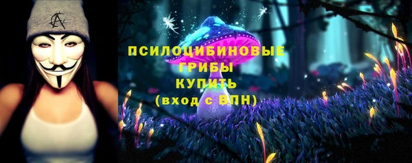 бошки Алзамай