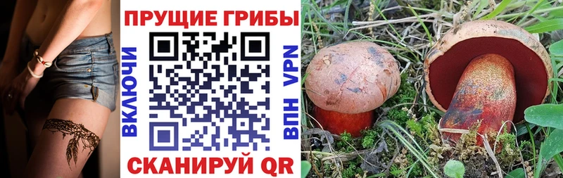 Псилоцибиновые грибы Psilocybe  Купить  Воткинск 