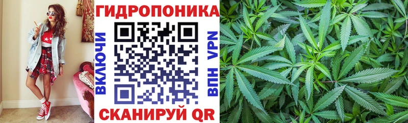 Купить где  Воткинск  Бошки марихуана ГИДРОПОН 